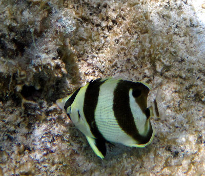 Photo 021_edited-2.jpg