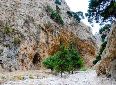 Gorges d'Imbros (Crte)