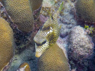 P1177376-2.jpg
