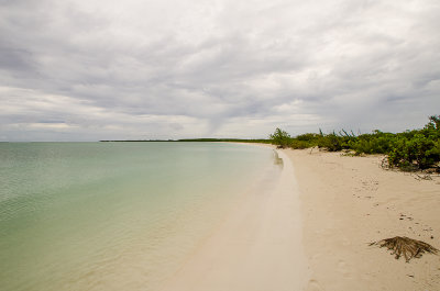 DSC_5608.jpg