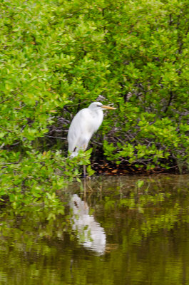 DSC_5630.jpg