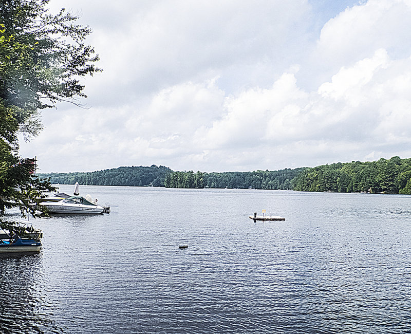 Southern end, Canning Lake