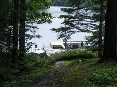 Path to the water in the rain