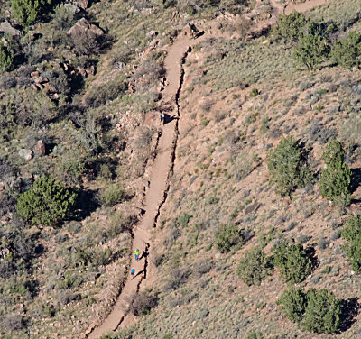 Hikers and mules in the canyon