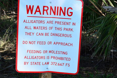 I think the alligator would be the one doing the molesting...