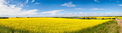 [Group 23]-Canon EOS-1Ds Mark III_140719_0076_Canon EOS-1Ds Mark III_140719_0081-6 images.jpg