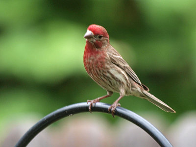 P5107242 copy.jpg