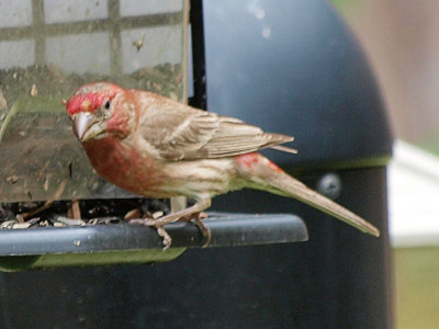 P5107253 copy.jpg