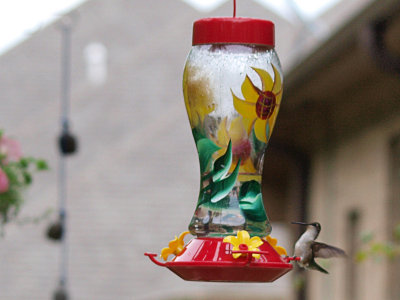 P5167379 copy.jpg