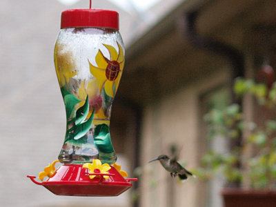 P5167380 copy.jpg
