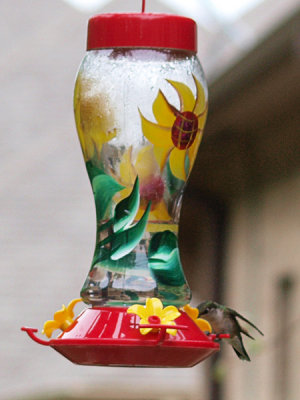 P5167383 copy.jpg