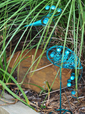 P6227547 copy.jpg