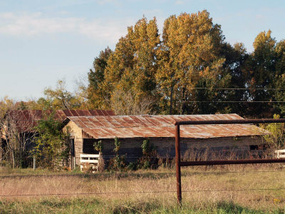Rusty fence, rusty roof
