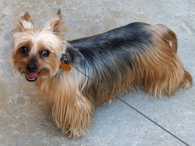 Just groomed 