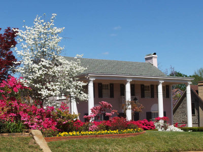 Azalea time in Tyler, TX