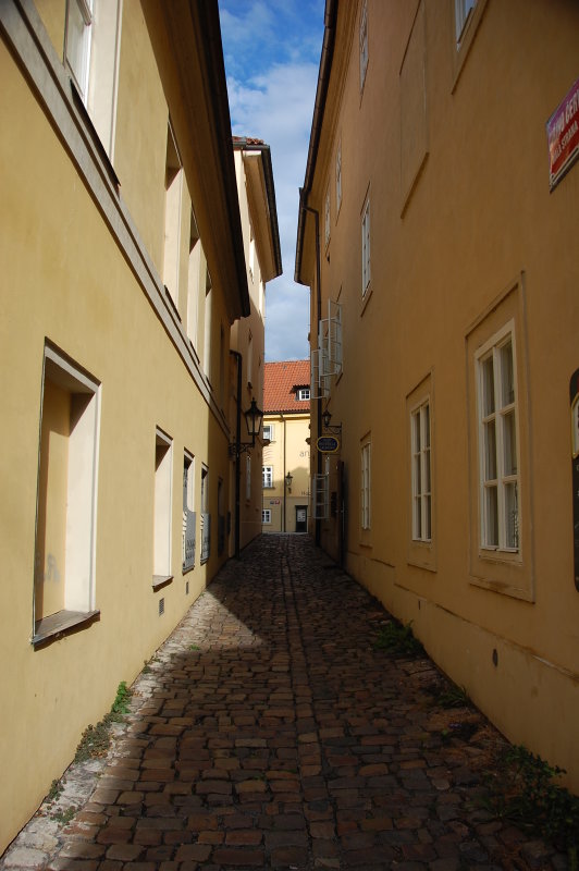 DSC_1292.JPG