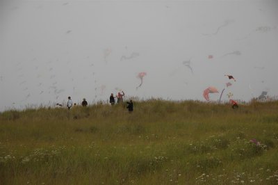 DSC_7957.JPG