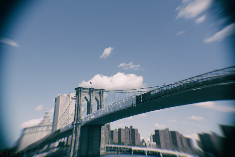 36642335newyork0813-Edit.jpg