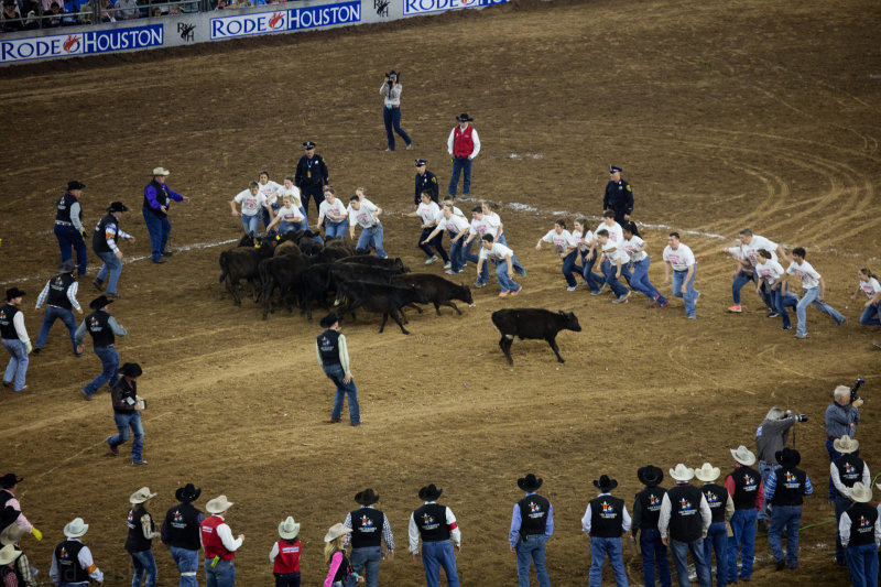 54961041rodeo0316.jpg