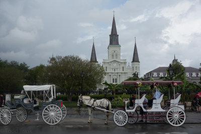 34839738neworleans0413.jpg