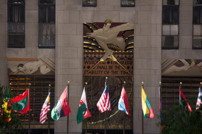 36542214newyork0813.jpg