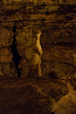 meerkatrock-1.jpg