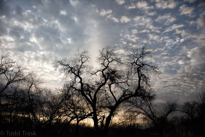 _V9A0179161227dallas-Edit.jpg