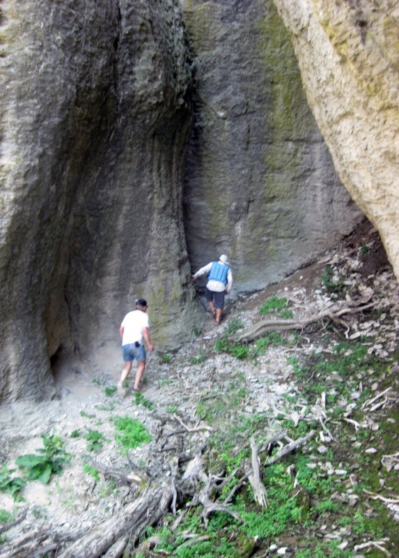 In Search of Bat Guano