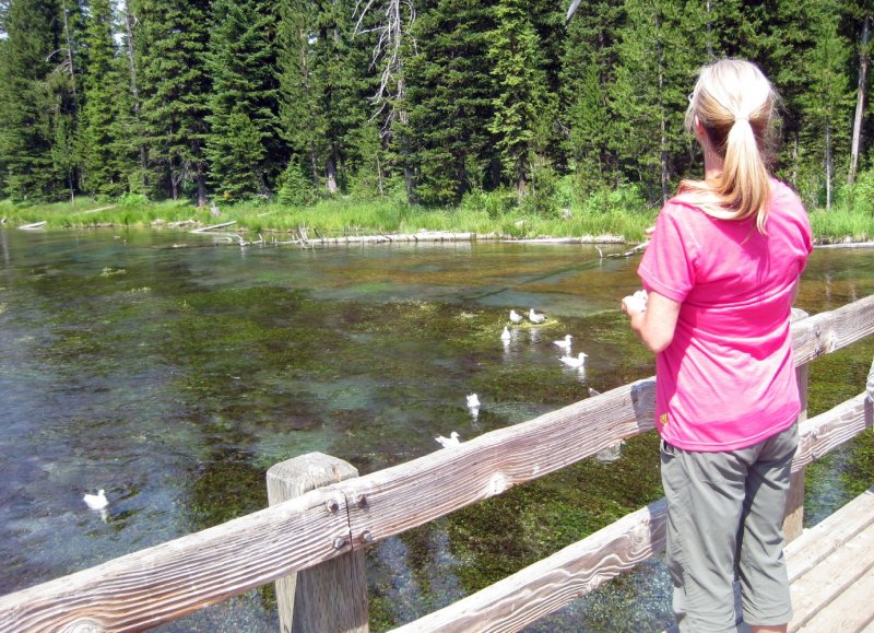 Lisa at the Big Springs Bridge