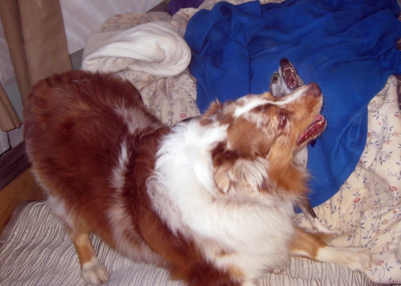 Skye Lea and Sammy at Play