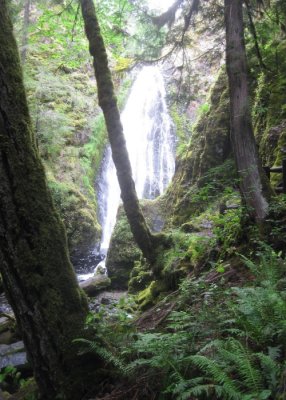 Susan Creek Falls in Oregon