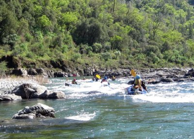 Sierra Lomeli Leads Ten Other Boats Through a Class II Rapid on the American River