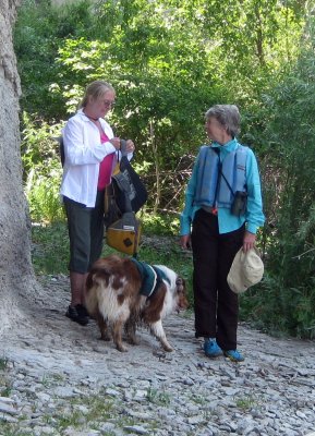 Lisa and Britta not in Search of Bat Guano