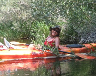 Tara Fiscus