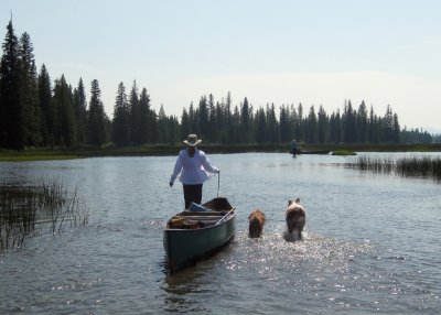 Lisa and the Boys Walking a Shallow Section of the Buffalo River