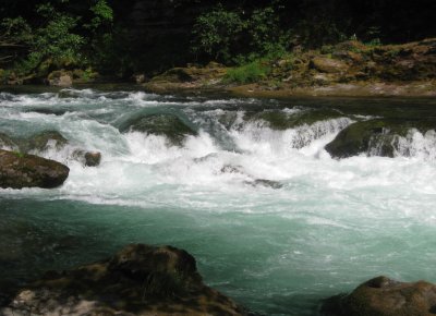 Bathtub Rapid on the Umpqua (Class IV at This Flow)