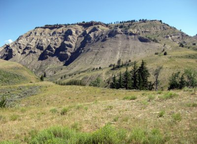 Along the Gros Ventre River Road