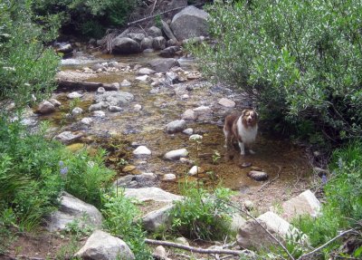 Skye Lea at a Point Where Trail 24 Touches Teton Creek