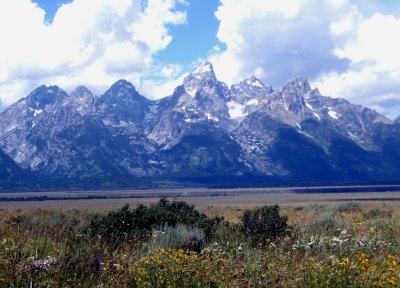 The Tetons Viewed from the East