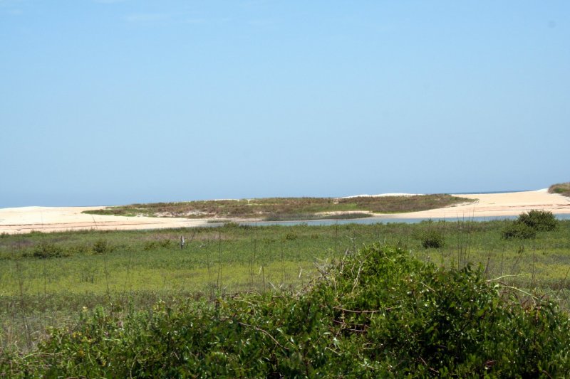 Near Summer Haven FL