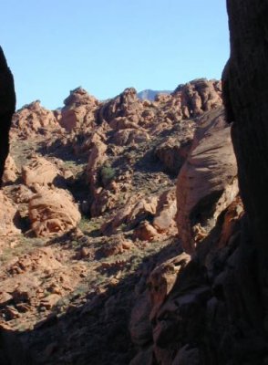 Valley of Fire/Las Vegas NV