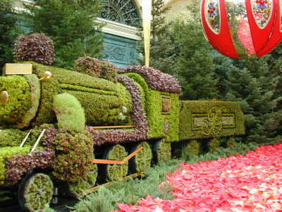 The Greenery train