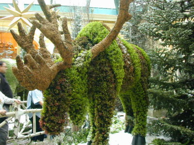 A moose made out of greenery