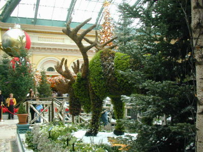Moose and Trees inside the Bellagio Atrium