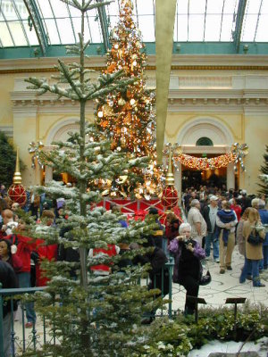 The forest and Christmas tree inside the Atrium