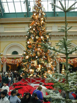 The forest and Christmas tree inside the Atrium