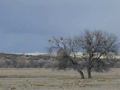 Near Peeples Valley, AZ