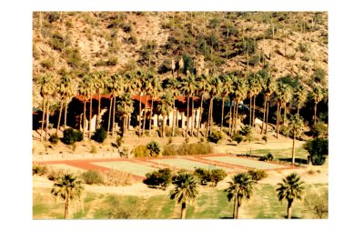 Palms at Castle Hot Springs AZ