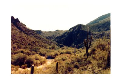 View near Castle Hot Springs AZ