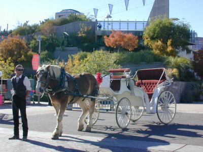 Horse and Buggy at Heritage square